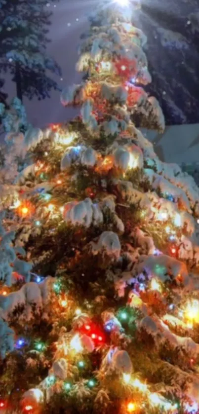 Snow-covered Christmas tree with festive colorful lights.