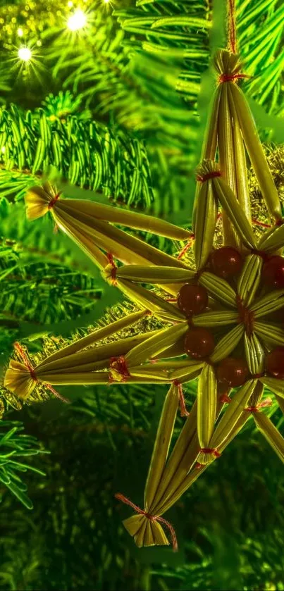 Christmas tree decorated with lights and a star ornament, vibrant and festive.