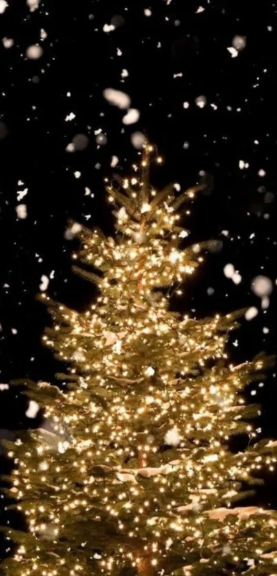 A glowing Christmas tree with snow falling on a dark winter night.