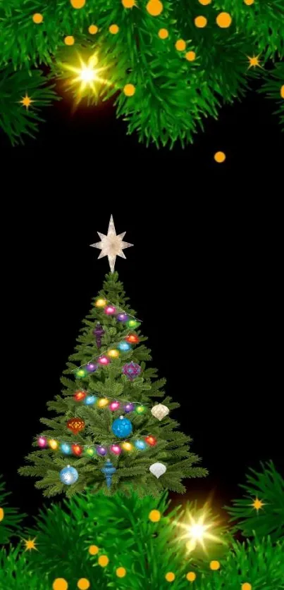 Decorated Christmas tree with star atop and green branches with lights on dark background.