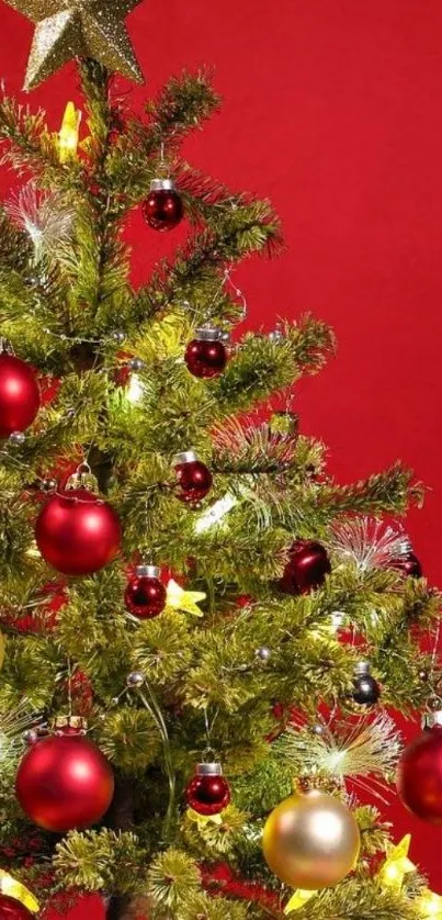 Vibrant Christmas tree with red ornaments.