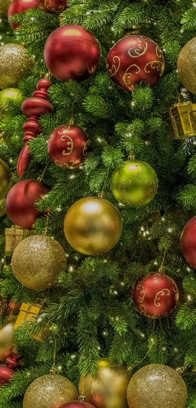 Christmas tree with red and gold ornaments.