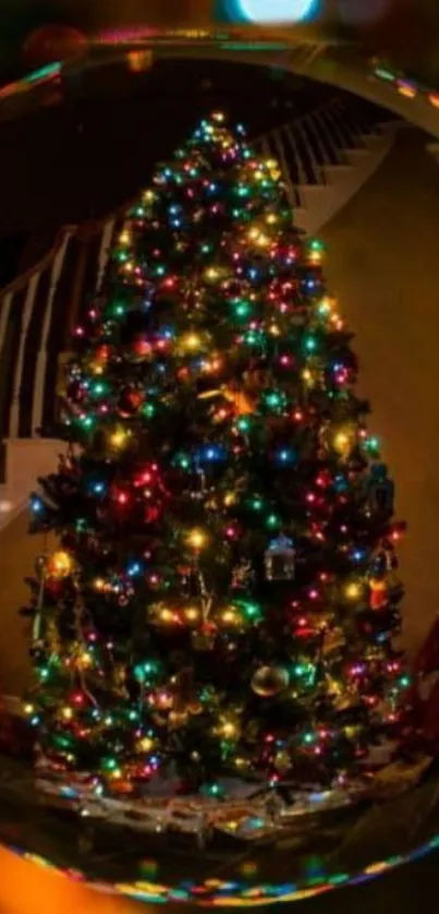 Christmas tree with vibrant lights in festive decor.