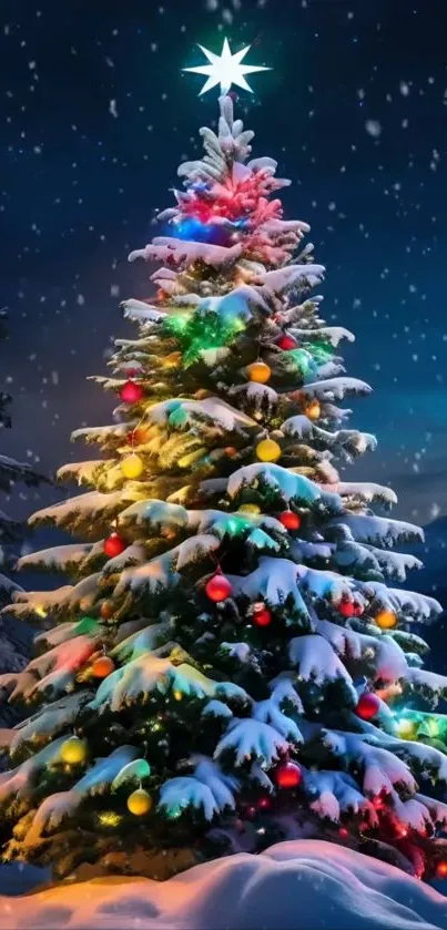 Snow-covered Christmas tree with colorful lights at night.