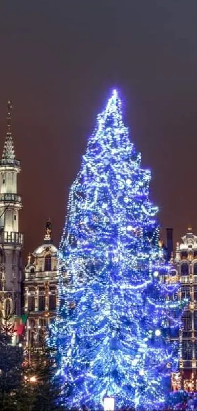 Festive Christmas tree in city square at night, glowing with bright blue lights.