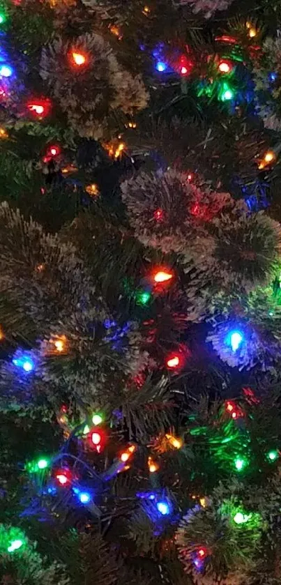 Colorful LED lights on an evergreen tree creating a festive holiday ambiance.