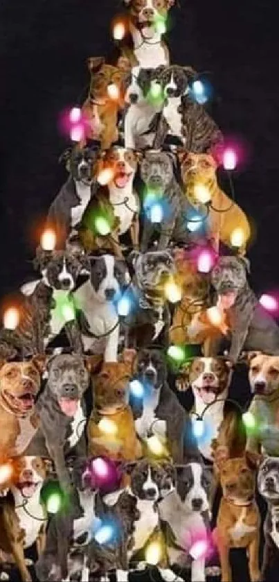 Playful dogs forming a Christmas tree shape with colorful lights on black background.