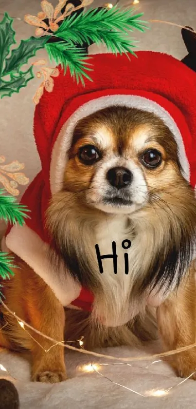Adorable dog in Santa hat with holiday lights.