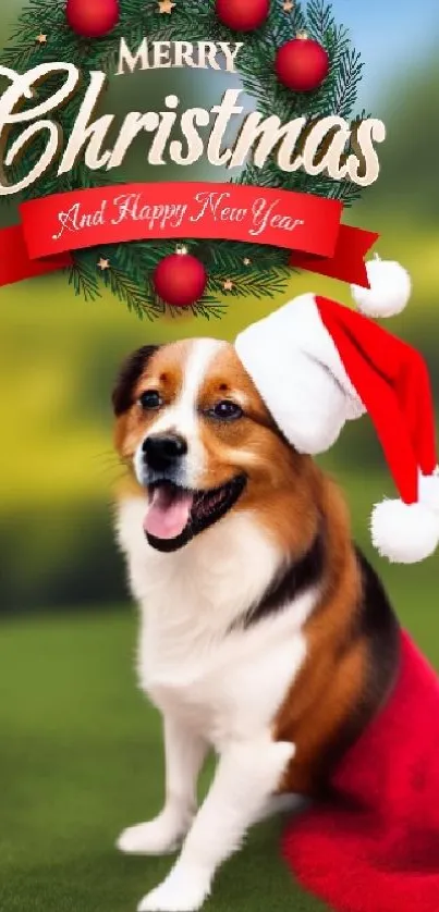 Festive dog in Santa hat with Christmas greeting.