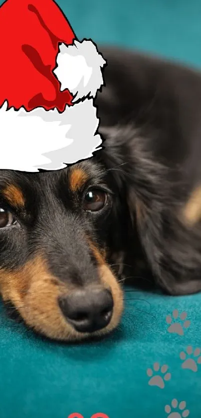 Adorable dog in Santa hat on teal background.
