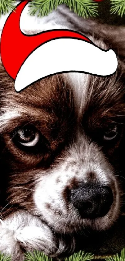 Cute dog in Santa hat on festive mobile wallpaper.