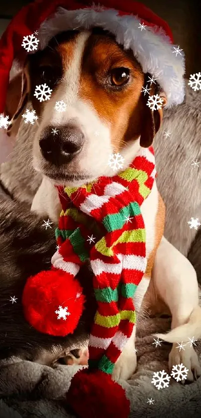 Cute dog in Santa hat and scarf on cozy blanket.