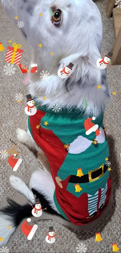 Dog wearing a Christmas sweater with festive snowmen and gifts.