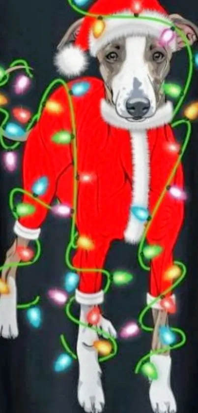 Dog in Santa outfit with Christmas lights.