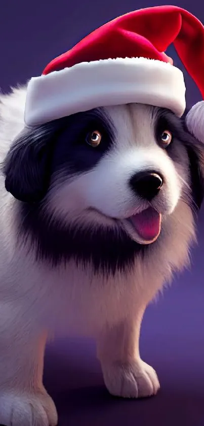 Adorable dog in Santa hat with purple background.