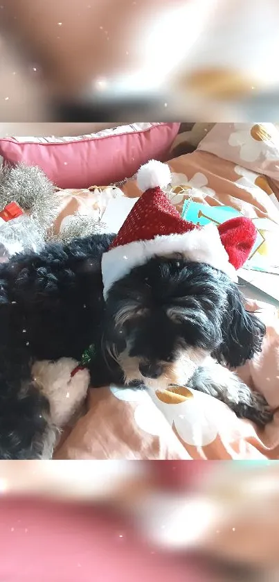 Fluffy black dog in Santa hat on bed with festive decor.