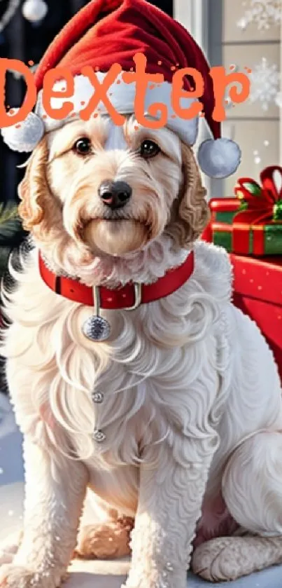 Dog wearing a Santa hat among presents.