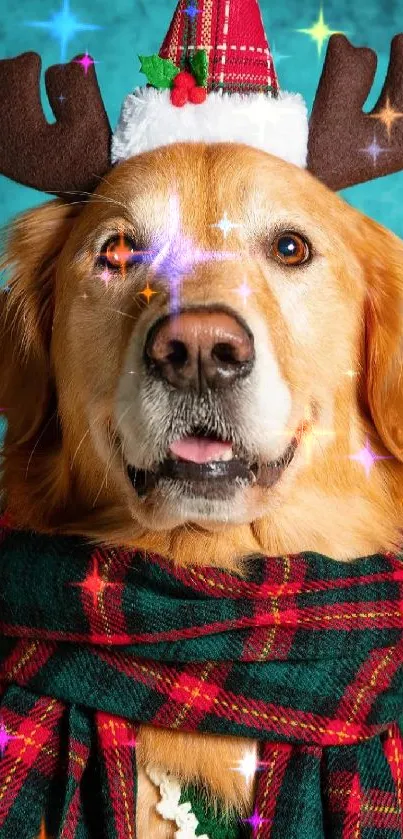 Golden retriever with festive antlers and plaid scarf on teal.