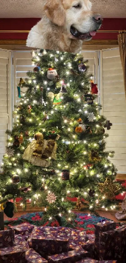 Golden retriever atop a glowing Christmas tree surrounded by gifts.