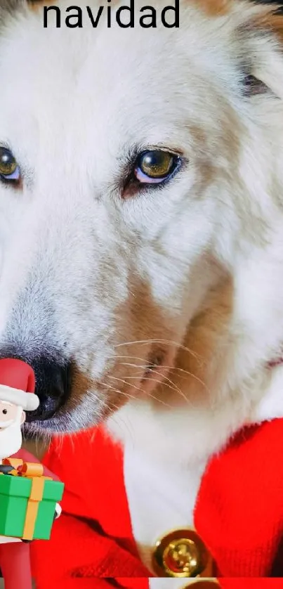 Dog dressed as Santa with a festive background.