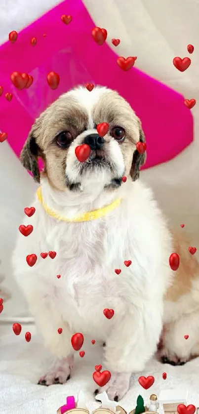 Cute white dog with Christmas decorations and pink stocking.