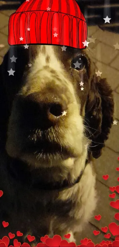 Dog with red hat and festive hearts on wallpaper.