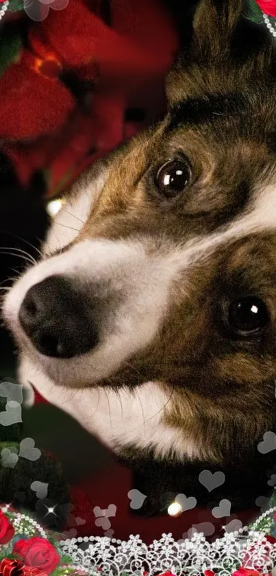 Dog surrounded by bright red poinsettias and warm fairy lights on a dark background.