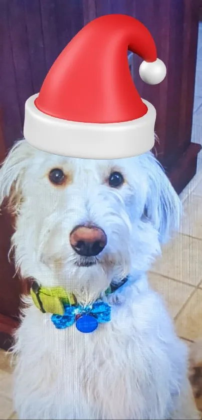 Dog wearing Santa hat on tiled floor.