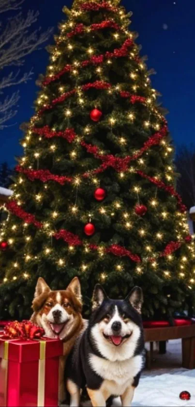 Two happy dogs by a decorated Christmas tree and gifts in a snowy night.