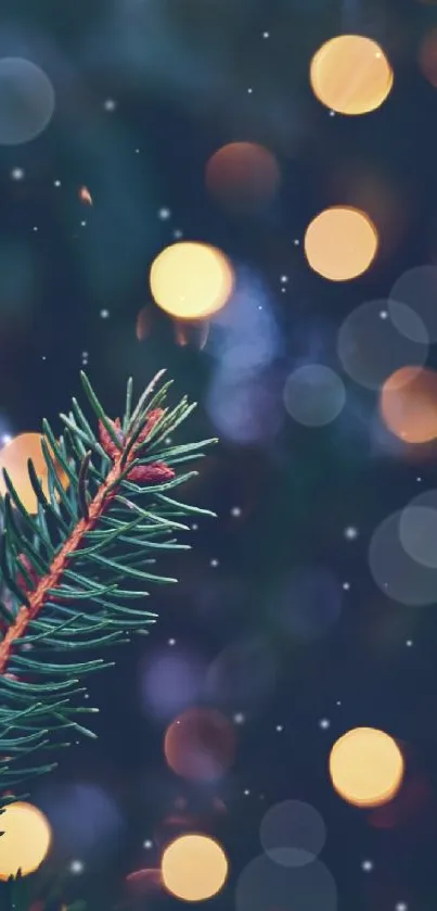 Evergreen branch with festive bokeh lights background.