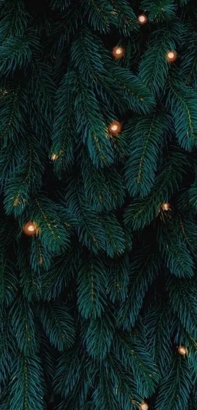 Lush green evergreen branches with twinkling lights.