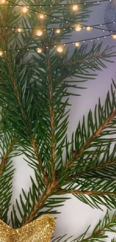 Festive evergreen branch with lights on a smartphone wallpaper.