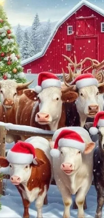 Cows wearing Santa hats by a red barn and Christmas tree in snow.