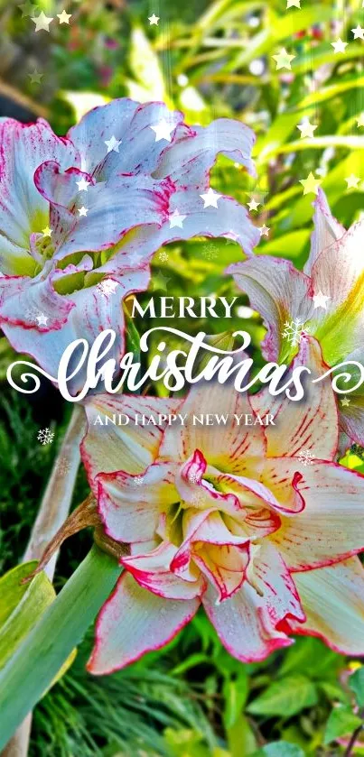 Festive Christmas flowers with Merry Christmas text.