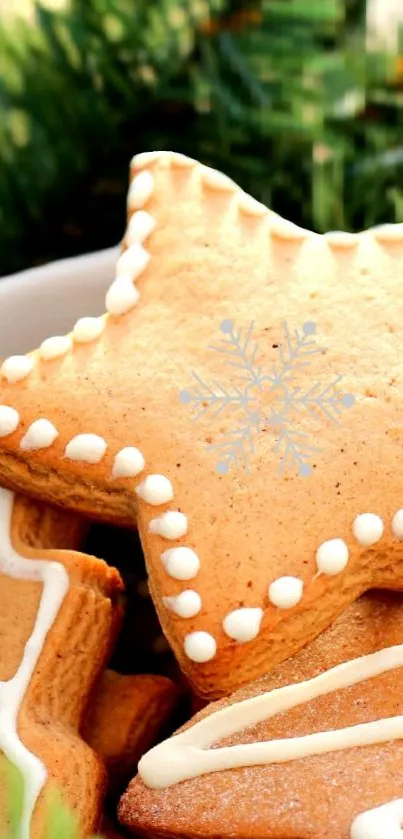 Close-up of decorated gingerbread cookies in a star shape with a festive design.