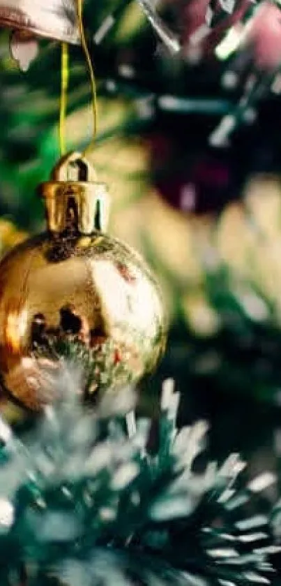 Golden Christmas ornament on a green pine tree, creating a festive holiday scene.