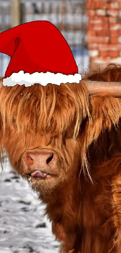 Highland cattle in Santa hat in snowy field.