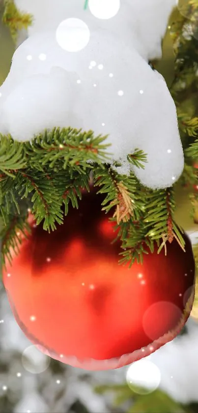 Festive red ornament on snowy pine branch.