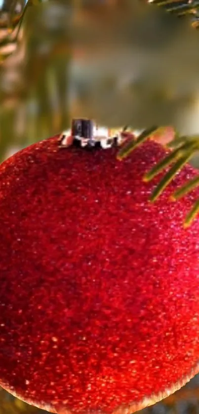 Red Christmas ornament among green pine needles, radiating holiday cheer.