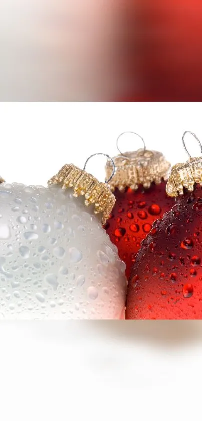 Festive red and white Christmas ornaments with water droplets.