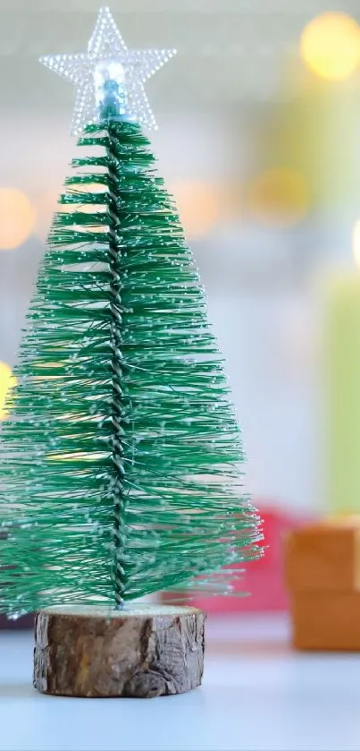 Festive Christmas tree with star topper and blurred lights.