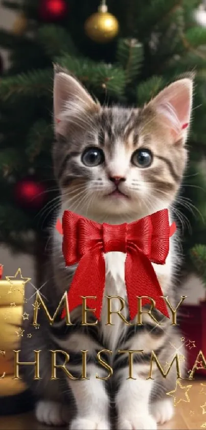 Cute kitten with red bow in front of a Christmas tree, saying Merry Christmas.