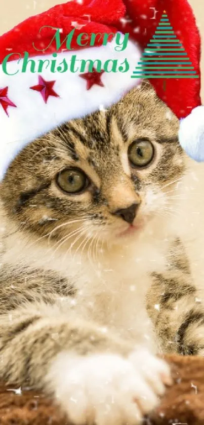 Adorable kitten in Santa hat, festive Christmas wallpaper.