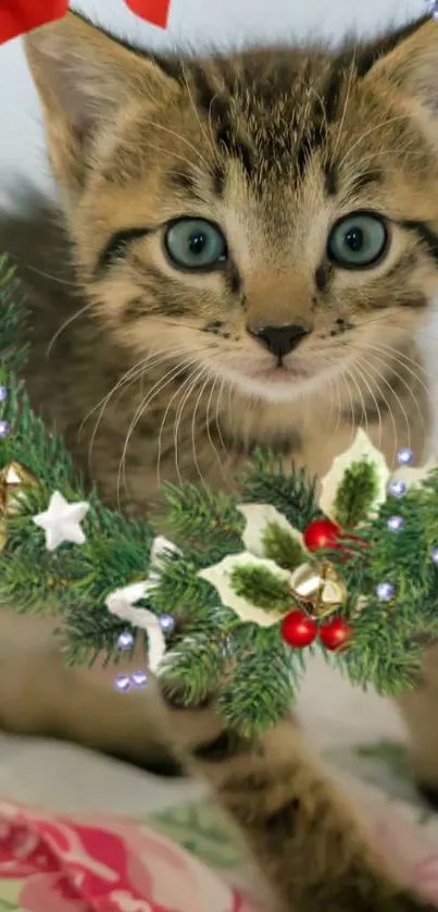 Cute kitten framed by a festive holiday wreath.