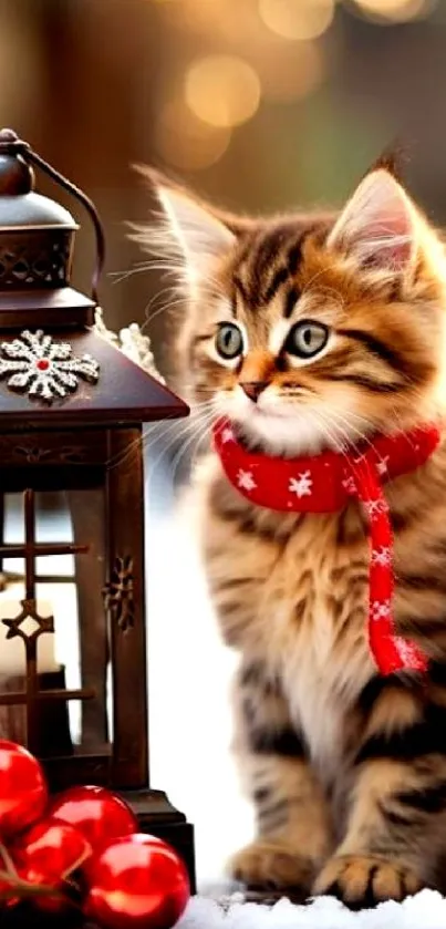 Festive kitten with red scarf beside a lantern, perfect for holiday wallpaper.