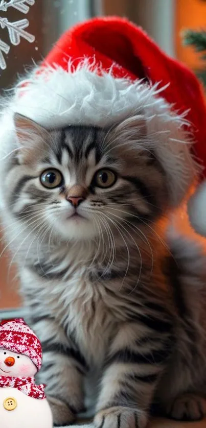 Cute kitten wearing Santa hat by frosty window.