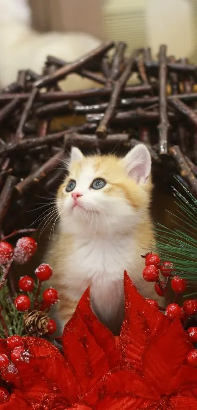 Kitten nestled in Christmas wreath with red floral decorations.