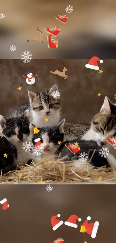 Cute kittens with festive holiday decorations.