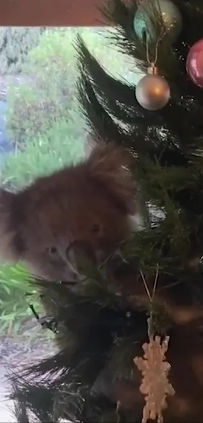 Koala nestled in a decorated Christmas tree with ornaments.