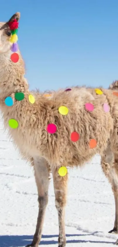 Colorful llama with decorations on snowy plain.